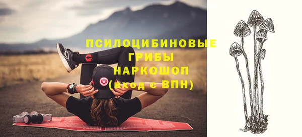 метадон Алексин