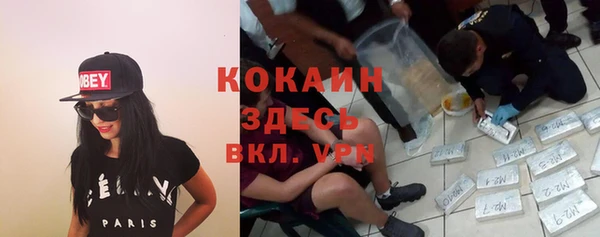 метадон Алексин